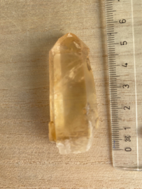 Tangerine Lemurian 9