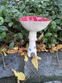 Elfenhuisje vliegenzwam bokaal 2
