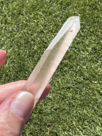 Peach Lemurian 9