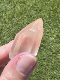 Peach Lemurian 19