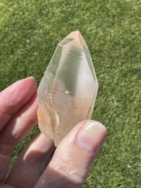 Golden Healer Lemurian 2