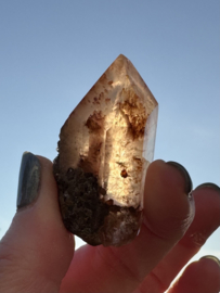 Lemurian (Red Coated) Dreamtime Healers 10