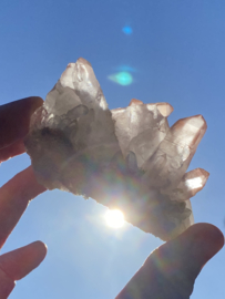 Pink Lemurian - cluster 3