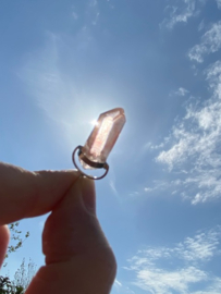 Pink Lemurian Hangertje 3