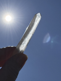 Peach Lemurian 9