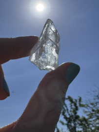 Medium Lemurian Root / Code Keeper of Freedom 3-5 cm