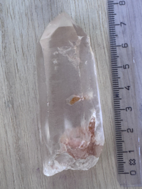 Peach Lemurian 5