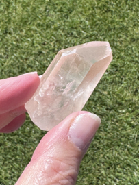 Peach Lemurian 17