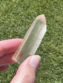 Peach Lemurian 11 - met venster