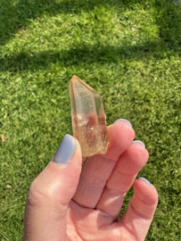 Citrien Lemurian 12