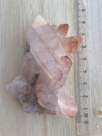 Pink Lemurian - cluster 3