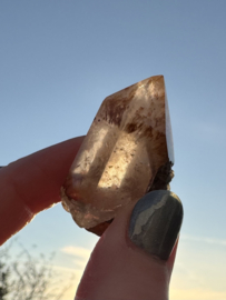 Lemurian (Red Coated) Dreamtime Healers 10