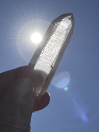 Peach Lemurian 13