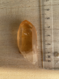 Tangerine Lemurian 18