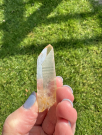 Citrien Lemurian 13