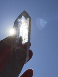 Peach Lemurian 5
