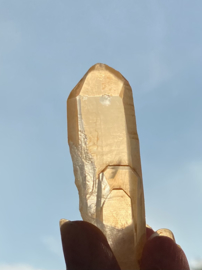 Tangerine Lemurian 6