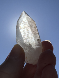 Peach Lemurian 18