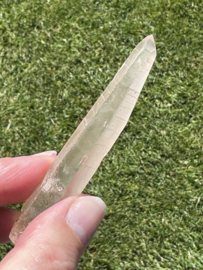 Peach Lemurian 9
