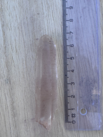 Peach Lemurian 13