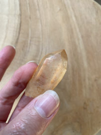 Tangerine Lemurian 18