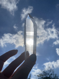 Blue Needle Lemurians: Angel Feather Lemurians