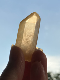 Tangerine Lemurian 20