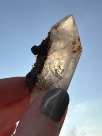 Lemurian (Red Coated) Dreamtime Healers 7
