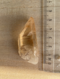 Tangerine Lemurian 19