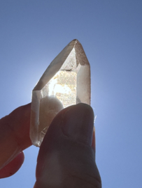 Peach Lemurian 19