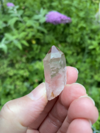 Pink Lemurian / Roze Lemurische Laser 17