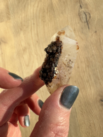 Lemurian (Red Coated) Dreamtime Healers 7