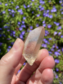 Citrien Lemurian 10