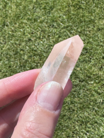 Peach Lemurian 17