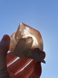 Pink Lemurian - cluster 2