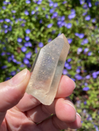 Citrien Lemurian 9