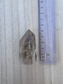 Lemurische Rookkwarts 11