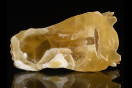 Dragon skull yellow calcite 12 cm