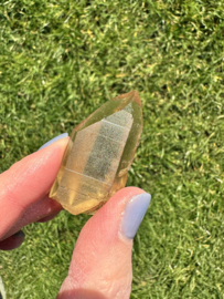 Citrien Lemurian 6