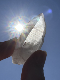 Peach Lemurian 18