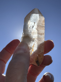 Peach Lemurian 1