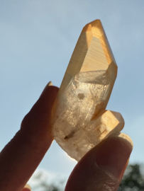 Tangerine Lemurian 5