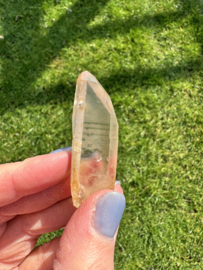 Citrien Lemurian 13