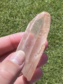 Peach Lemurian 3