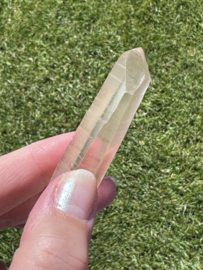 Peach Lemurian 11 - met venster