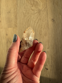 Lemurian (Red Coated) Dreamtime Healers 9