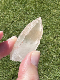 Peach Lemurian 18