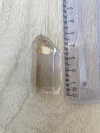 Citrien Lemurian 9