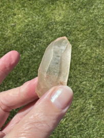 Golden Healer Lemurian 6