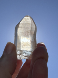 Peach Lemurian 19